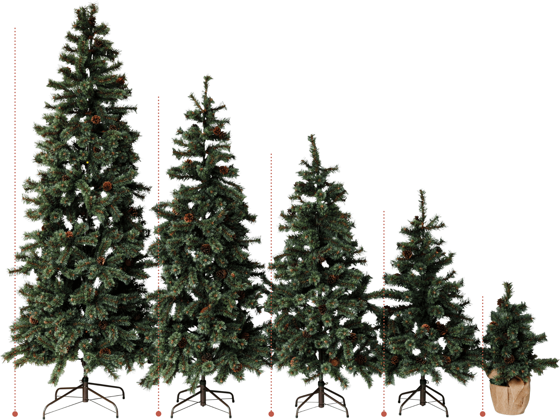 niko and  Christmas Collection 2021