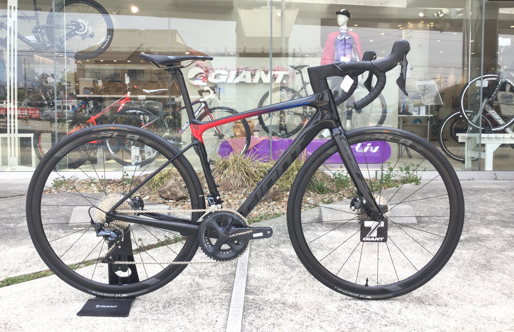 ラスト1台】メーカー完売のロードバイク、名古屋店にございます